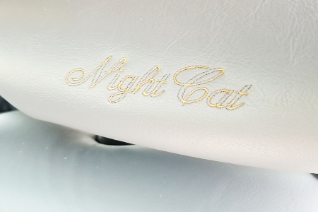 Night Cat Cougar